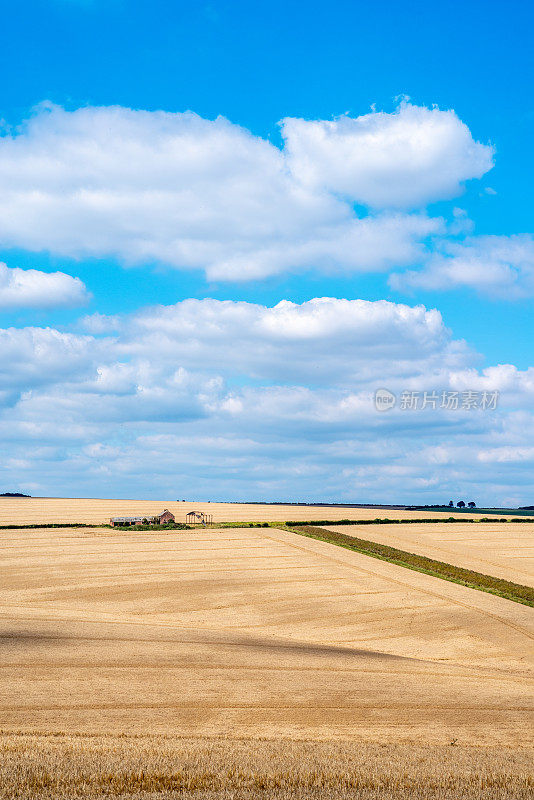 Burdale North Yorkshire Wolds in Portrait